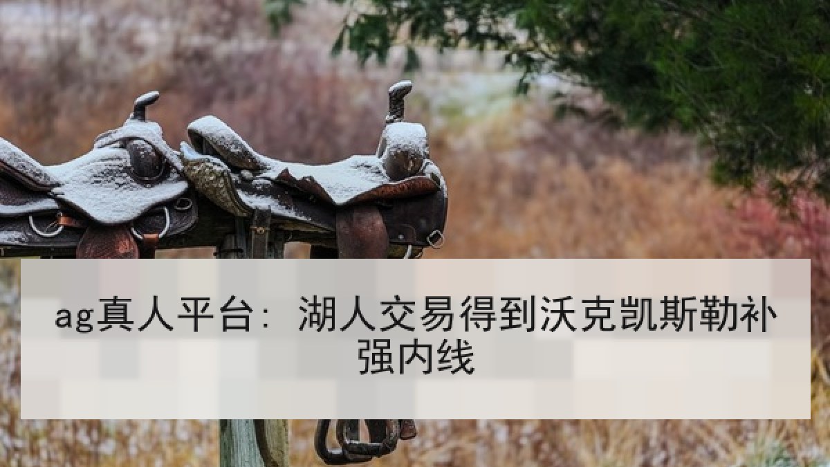 ag真人平台: 湖人交易得到沃克凯斯勒补强内线
