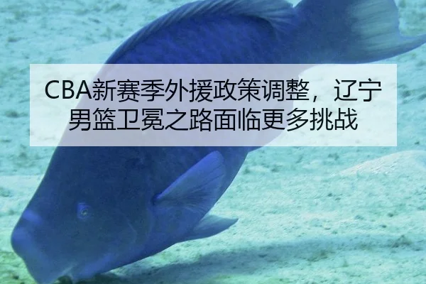 xin-sai-ji-wai-yuan-zheng-ce-tiao-zheng-liao-ning-nan-lan-wei-mian-zhi-lu-mian-lin-geng-duo-tiao-zhan-3-863.jpg