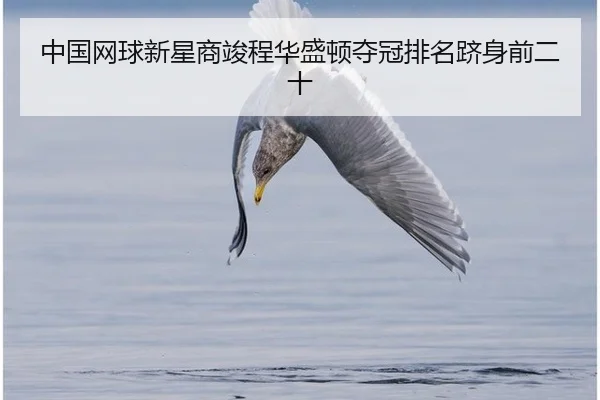 中国网球新星商竣程华盛顿夺冠排名跻身前二十