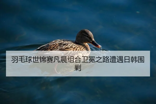 yu-mao-qiu-shi-jin-sai-fan-chen-zu-he-wei-mian-zhi-lu-zao-yu-ri-han-wei-jiao-2-443.jpg