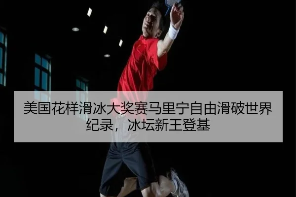 mei-guo-hua-yang-hua-bing-da-jiang-sai-ma-li-ning-zi-you-hua-po-shi-jie-ji-lu-bing-tan-xin-wang-deng-ji-2-118.jpg