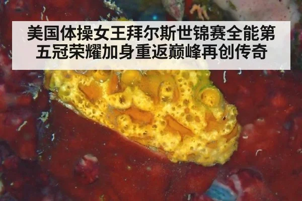 美国体操女王拜尔斯世锦赛全能第五冠荣耀加身重返巅峰再创传奇